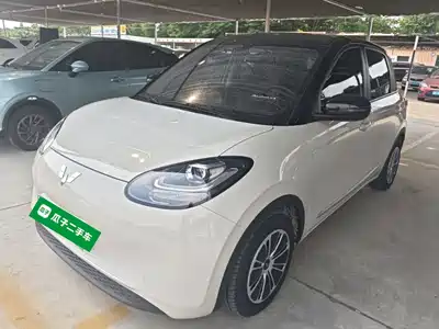 Wuling Motors Bingo 2024