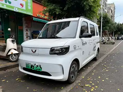 Wuling Motors Zhiguang NEV 2025