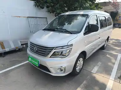 Dongfeng Fengxing Lingzhi 2020