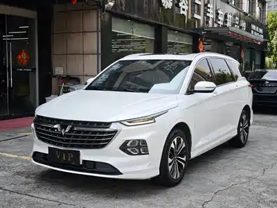 Wuling Motors Victory 2021