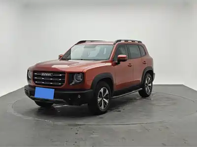 Haval Big Dog 2021