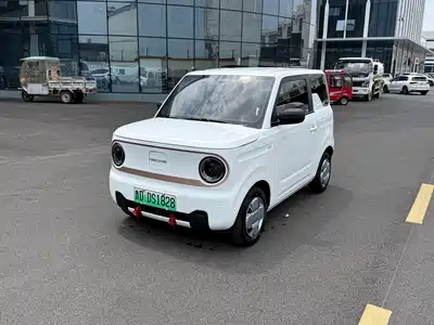 Geely Galaxy Panda 2025