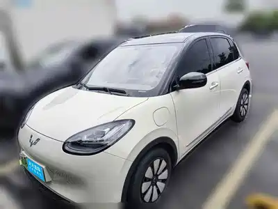 Wuling Motors Bingo 2024