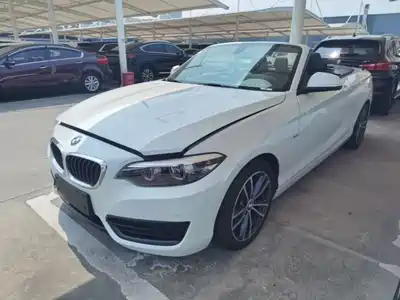 BMW 2 Series (Import) 2017