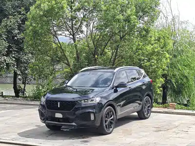 WEY VV6 2019