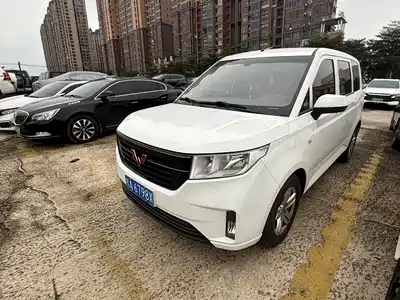 Wuling Motors Hongguang PLUS 2019