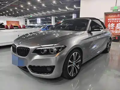 BMW 2 Series (Import) 2019