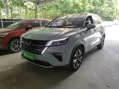 Wuling Motors Xingchen 2022
