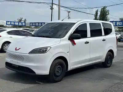 Wuling Motors Hongguang New Energy 2025