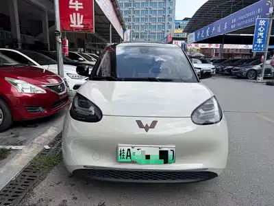 Wuling Motors Bingo 2024