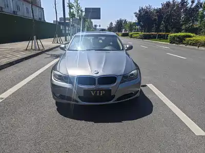 BMW 3 Series (Import) 2010