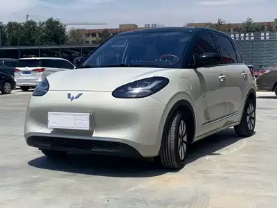 Wuling Motors Bingo 2024