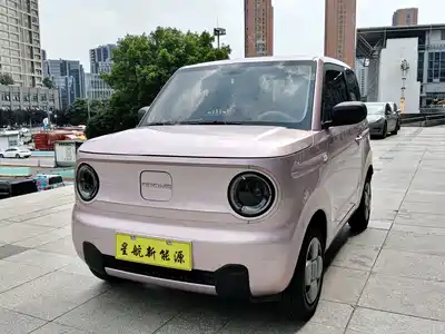 Geely Galaxy Panda 2024