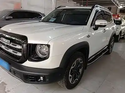 Haval Big Dog 2021