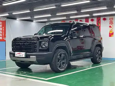 Haval Meng Long NEV 2024
