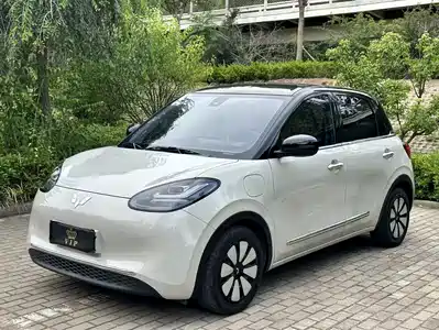 Wuling Motors Bingo 2024