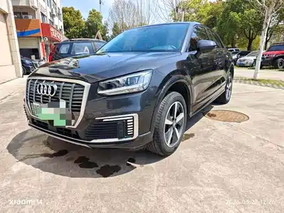 Audi Q2L e-tron 2021