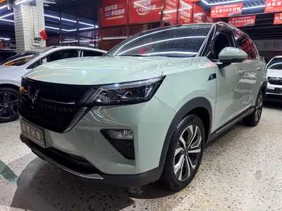 Wuling Motors Xingchen 2023
