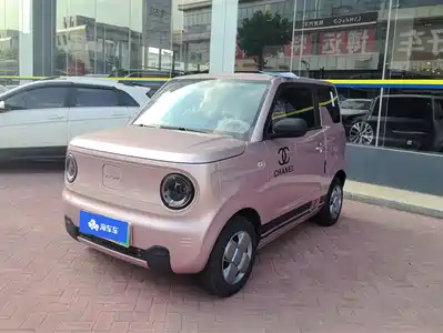 Geely Galaxy Panda 2023