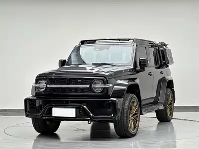 Crossboundary Auto Co-created Tank 300 2023