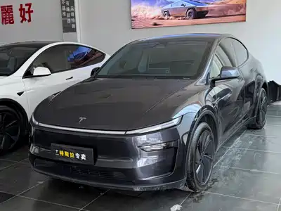 Tesla Model Y 2025