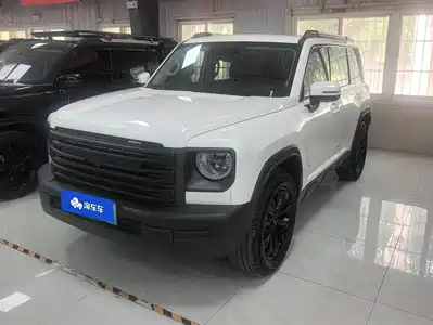 Haval Meng Long NEV 2025