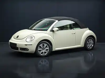Volkswagen Beetle 2010