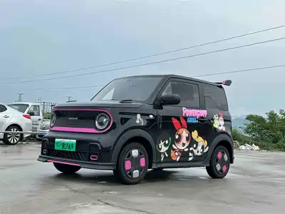 Geely Galaxy Panda 2024