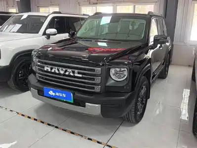 Haval Meng Long NEV 2024
