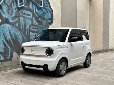 Geely Galaxy Panda 2023