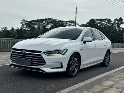 BYD Qin Pro New Energy 2019