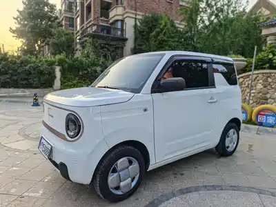 Geely Galaxy Panda 2024
