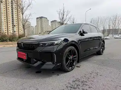 Voyah Auto FREE 2024