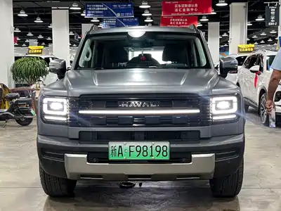 Haval Meng Long NEV 2025