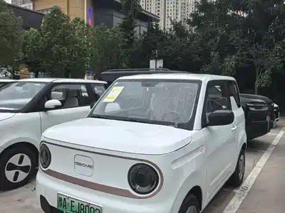 Geely Galaxy Panda 2026