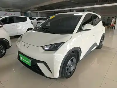 BYD Seagull 2024