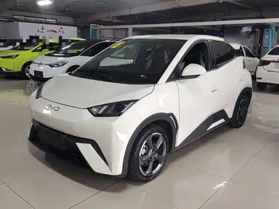 BYD Seagull 2024