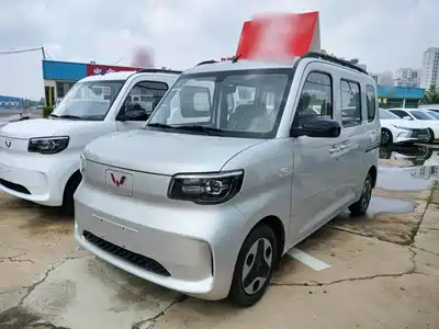 Wuling Motors Zhiguang NEV 2026