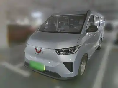 Wuling Motors Yangguang 2025