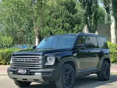 Haval Meng Long NEV 2024