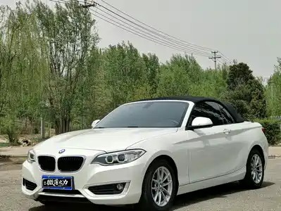 BMW 2 Series (Import) 2016