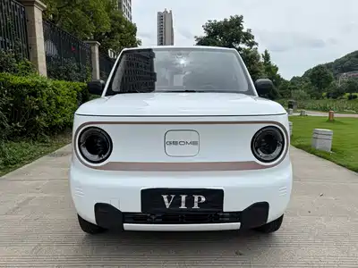 Geely Galaxy Panda 2024
