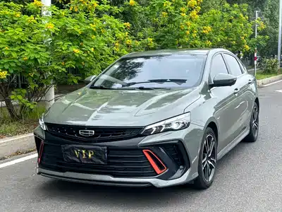 Geely Binrui 2022