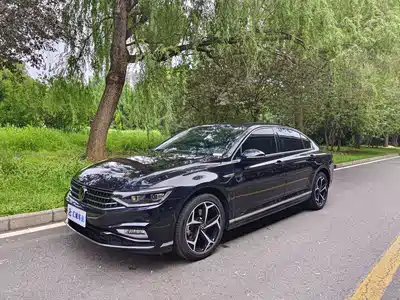 Volkswagen Magotan 2024