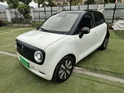 Ora Black Cat 2021