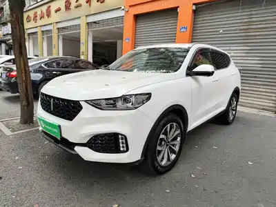 WEY VV6 2019