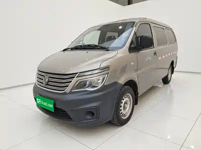 Dongfeng Fengxing Lingzhi 2020