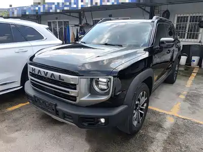 Haval Big Dog 2024