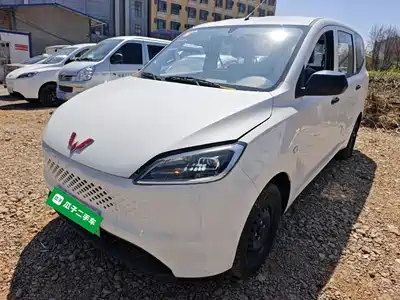 Wuling Motors Hongguang New Energy 2025