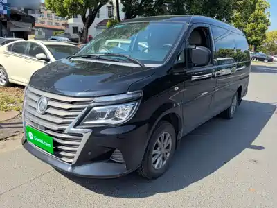 Dongfeng Fengxing Lingzhi 2021